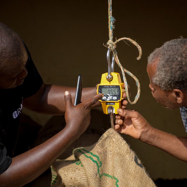 GROW. cashew farmer direct sourcing